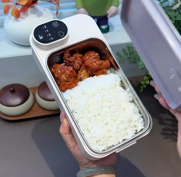 Portable electric lunch box