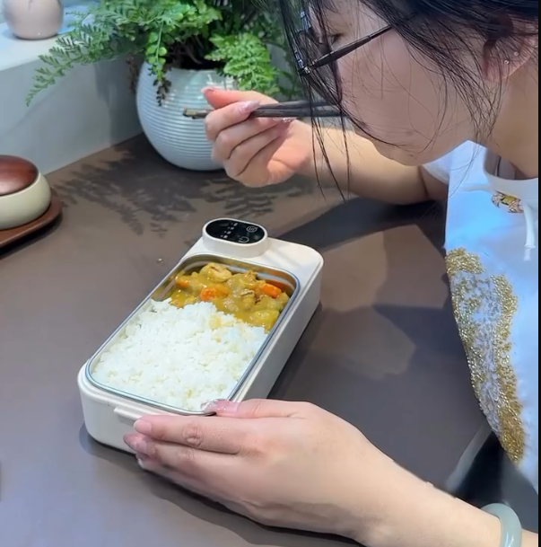 Portable electric lunch box