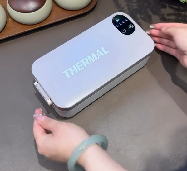 Portable electric lunch box