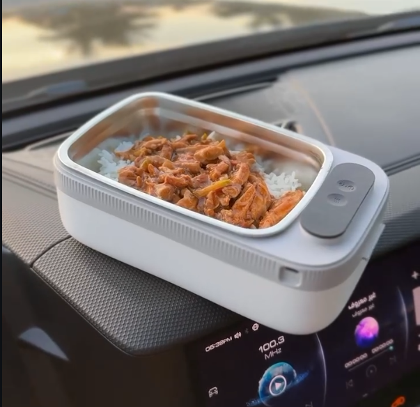 Portable electric lunch box
